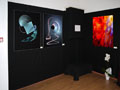 Exposition Fractal FineArt,18e Salon international des artistes contemoprains , Saint Tropez, Cote d´Azur