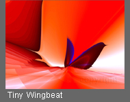 Tiny Wingbeat von Fractal Fineart